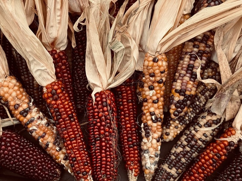 Farm-to-Table